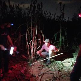 Collecting data at night with the aid of headlamps